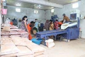 कोदो-कुटकी, रागी प्रसंस्करण से स्व-सहायता समूह को 05 लाख रूपये की आमदनी