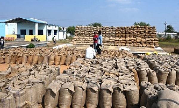 धान खरीदी व्यवस्था सुव्यवस्थित करने नवीन टोकन व्यवस्था टोकन तुहर ऐप से घर बैठे ले सकते हैं सुविधा का लाभ