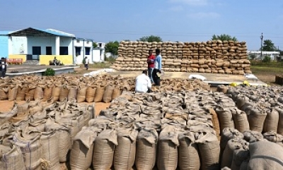 धान खरीदी व्यवस्था सुव्यवस्थित करने नवीन टोकन व्यवस्था टोकन तुहर ऐप से घर बैठे ले सकते हैं सुविधा का लाभ
