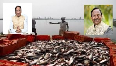 मछली पालन में छत्तीसगढ़ की बड़ी छलांग: दो वर्षों में उत्पादन 34% बढ़ा, राज्य देश में छठे स्थान पर