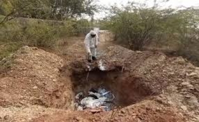 राजस्थान में बर्ड फ्लू की दस्तक; अब तक 250 से ज्यादा कौवों की मौत, अलर्ट जारी