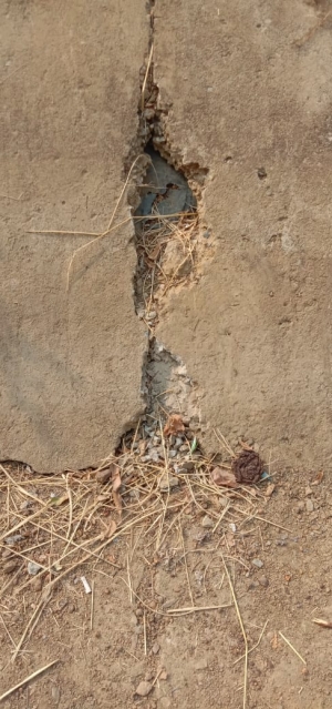 सिंचाई विभाग में भ्रष्टाचार का बोलबाला खोखरा सेन्द्री उप नहर का हाल बेहाल ,अधिकारी के लंबे समय से जमे होने के कारण ठेकेदारों को नहीं है किसी का डर