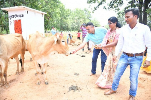 गौमूत्र बनेगा ग्रामीणों की आर्थिक समृद्धि का आधार कलेक्टर श्री चंदन कुमार सानदेवड़ा गोठान से हुई जिले में गौमूत्र ख़रीदी की शुरुआत