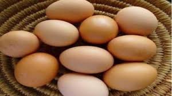 रोजाना खाते हैं अंडा तो हो जाए सावधान, बढ़ सकता है डायबिटीज का खतरा