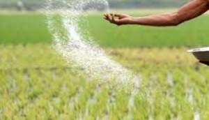 ग्रीष्मकालीन धान के बदले दलहन, तिलहन, मक्का, गन्ना फसल लेने किसानों को करें प्रोत्साहित - कलेक्टर