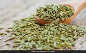 Fennel Seeds खाने के एक नहीं अनेक हैं फायदे, बस इस समय करें इसका सेवन