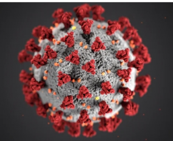 आज नगरी क्षेत्र में 55 antigen positive मरीज । जिनमें नपं 18, ग्रामिण 37 कोविड मरीजों की पहचान की गई