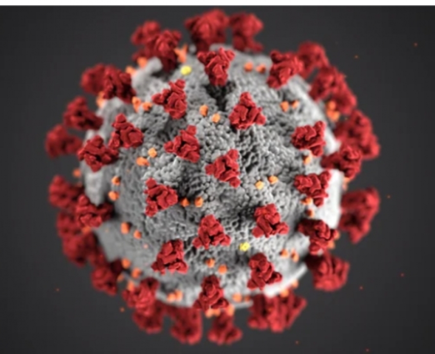 आज नगरी क्षेत्र में 55 antigen positive मरीज । जिनमें नपं 18, ग्रामिण 37 कोविड मरीजों की पहचान की गई