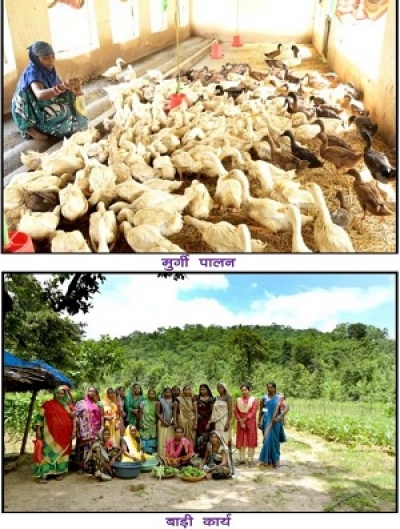 महिलाओं के जीवन में गौठानों ने भरा संपन्नता का नया रंग : ग्रामीण महिलाओं का गौठान से हो रहा आर्थिक सशक्तिकरण