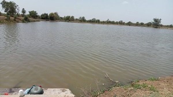 भीषण गर्मी में भी लबालब भरा अमृत सरोवर बना गांव की धरोहर