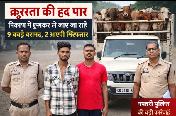 क्रूरता की हद पार: पिकअप में ठूंसकर ले जाए जा रहे 9 बछड़े बरामद, 2 आरोपी गिरफ्तार