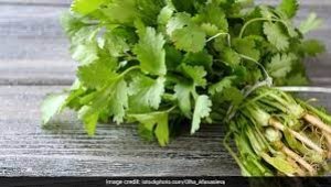 खाने में हरा धनिया डालने के पांच जबरदस्त फायदे