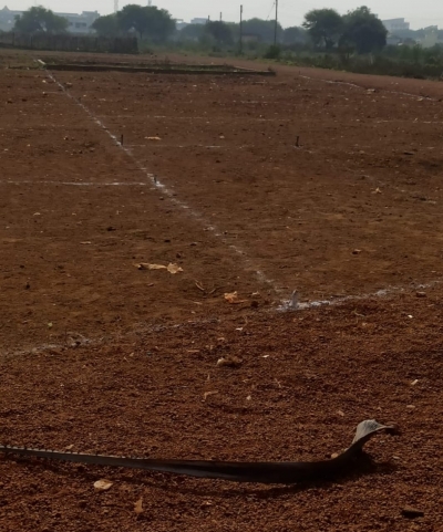 कुरूद के आठ एकड़ में हो रही थी अवैध प्लाटिंग, निगम ने की कार्यवाही