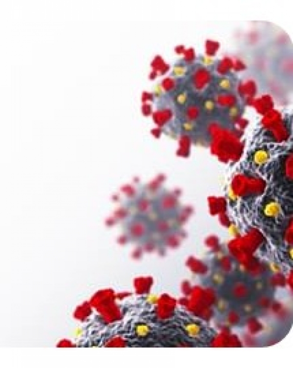 Coronavirus in the world: Lockdown implement starting again in the world due to the growing virus crisis