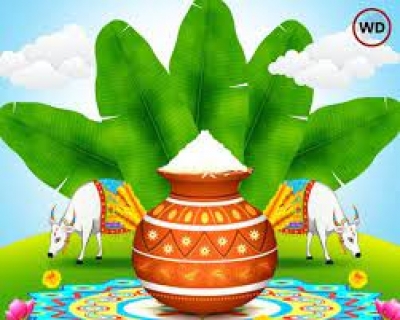 पर्यावरण से जुड़ी हिन्दू संस्कृति, तीज त्योहार और परंपराएं, 15 विशेष तथ्य