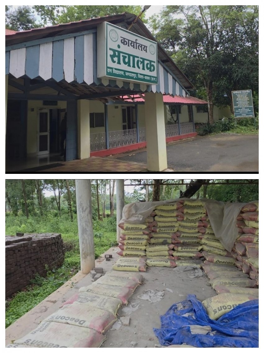 जनता का पैसा बर्बाद होते देख रहे वन विभाग के जिम्मेदार… मदद करो भाजपा सरकार!