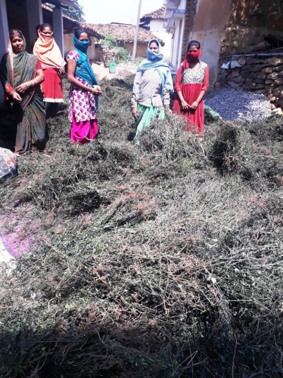 वनवासियों को मिल रहा अतिरिक्त आय का जरिया