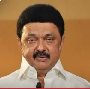 तमिलनाडु में सत्ता का सस्पेंस: स्टालिन का बड़ा दांव, 'विजय' की राह में 6 महीने का 'वेट एंड वॉच'