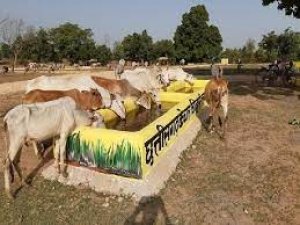 मुख्यमंत्री कृषि मंत्री ने गौठानों को पैरादान करने वाले किसानों को दिया धन्यवाद