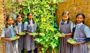 विद्यालय की बगिया से थाली तक: बच्चों को मिल रहा पौष्टिक आहार