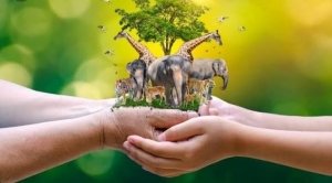 रंगों, कल्पनाओं और हुनर से गूंजा वन्यजीव संरक्षण का संदेश