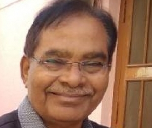 बजट जनकल्याणकारी व जनहितकारी - आर.एन.वर्मा