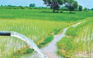 सिंचाई परियोजनाओं के लिए 30 करोड़ रूपए स्वीकृत