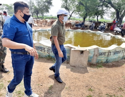 कलेक्टर ने वर्मी खाद निर्माण में तेजी लाने के दिए निर्देश