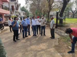 कीड़ो के प्रकोप से नष्ट हो हरे हरेभरे पेड़ , निगम प्रशासन ने शुरू किया दवाई का छिडकाव