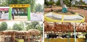 हमर गाँव हमर गोठान खेलबो नचबो लाईका महतारी सियान कार्यक्रम का आयोजन
