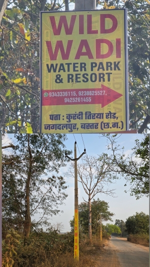 शासकीय लाइट खंभों पर पेंट से निजी प्रचार, नियमों के उल्लंघन पर उठे सवाल