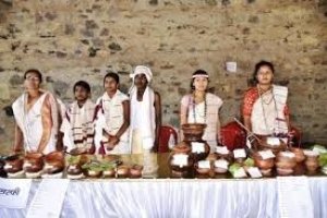 बस्तर जिले के 5 विकासखण्डों में हुआ ब्लॉक स्तरीय बस्तर पंडुम का आयोजन