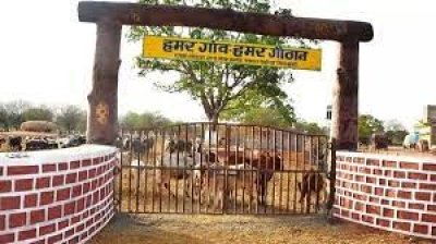 विशेष लेख : आजीविका सृजन एवं जीवनयापन का सशक्त माध्यम बन रहे हैं गौठान