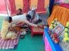 रामकथा कार्यक्रम का भव्य शुभारंभ हुआ, 5 दिन चलेगी कथा