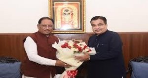 मुख्यमंत्री साय की पहल से खुला विकास का रास्ता,  चार नए पुलों का भूमि पूजन जल्द