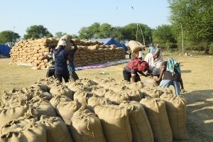 धान खरीदी के तिहार की अवधि बढ़ने से किसानों को मिली सुविधा कृषक  अंगेश्वर साहू