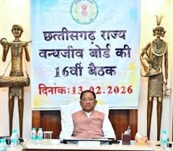मुख्यमंत्री साय की अध्यक्षता में छ.ग.़ राज्य वन्य जीव बोर्ड की बैठक संपन्न