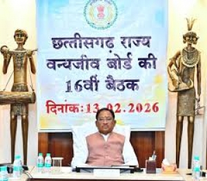 मुख्यमंत्री साय की अध्यक्षता में छ.ग.़ राज्य वन्य जीव बोर्ड की बैठक संपन्न