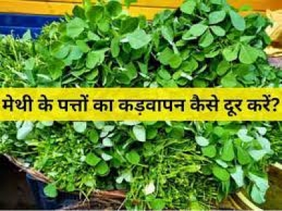 मेथी के पत्तों का कड़वापन बिगाड़ देता है मुंह का स्वाद, तो पकाने से पहले करें ये उपाय