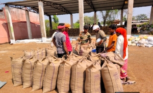 *राज्य में 14,54,451 क्विंटल धान की हो चुकी है खरीदी,उपार्जन केन्द्रों में तेज हो गई धान की आवक*