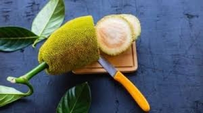 वेट लॉस और ग्लोइंग के लिए कटहल से कर लें दोस्ती, जानें 10 फायदे और सेवन के सही तरीके