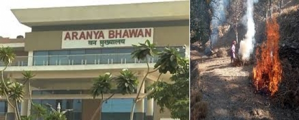 जंगलों को आग से बचाने के लिए हुए व्यापक इंतजाम:टॉल फ्री नम्बर 18002337000 स्थापित