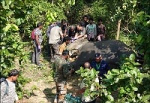 सूरजपुर वनमंडल में एक मादा हाथी का रेडियो कॉलरिंग सफलतापूर्वक संपन्न...