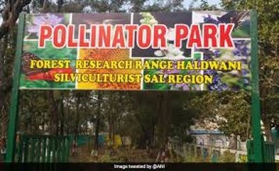 हल्द्वानी में देश का पहला पॉलीनेटर पार्क बनकर तैयार, 50 से ज्यादा प्रजातियां मौजूद