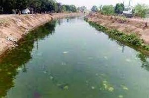 लवन शाखा नहर के कार्यो के लिए 64 लाख रूपये स्वीकृत