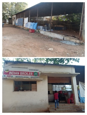 दुर्ग निगम के बसाहट क्षेत्र में मुर्गी फ़ार्म , स्वास्थ्य अधिकारी दुर्गेश गुप्ता क्यों है मौन