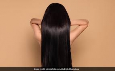 नहाने से पहले दही में मिलाकर लगा लीजिए ये चीज, कुछ ही दिन में दोगुने लंबे हो जाएंगे बाल, मुड़ मुड़कर देखेंगे लोग