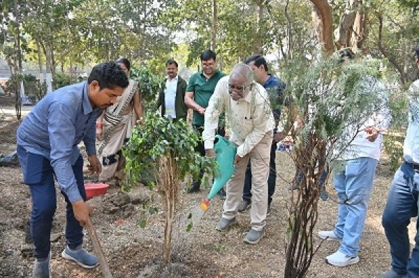 बसंत ऋतु के अवसर पर नगर निगम भिलाई में पौधा रोपण किया गया।