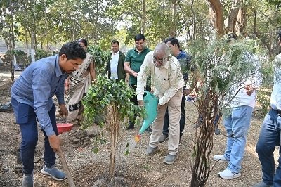 बसंत ऋतु के अवसर पर नगर निगम भिलाई में पौधा रोपण किया गया।