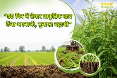 विशेष लेख: हरी खाद- खेती में बढ़ेगा उत्पादन, मिट्टी की सेहत होगी बेहतर